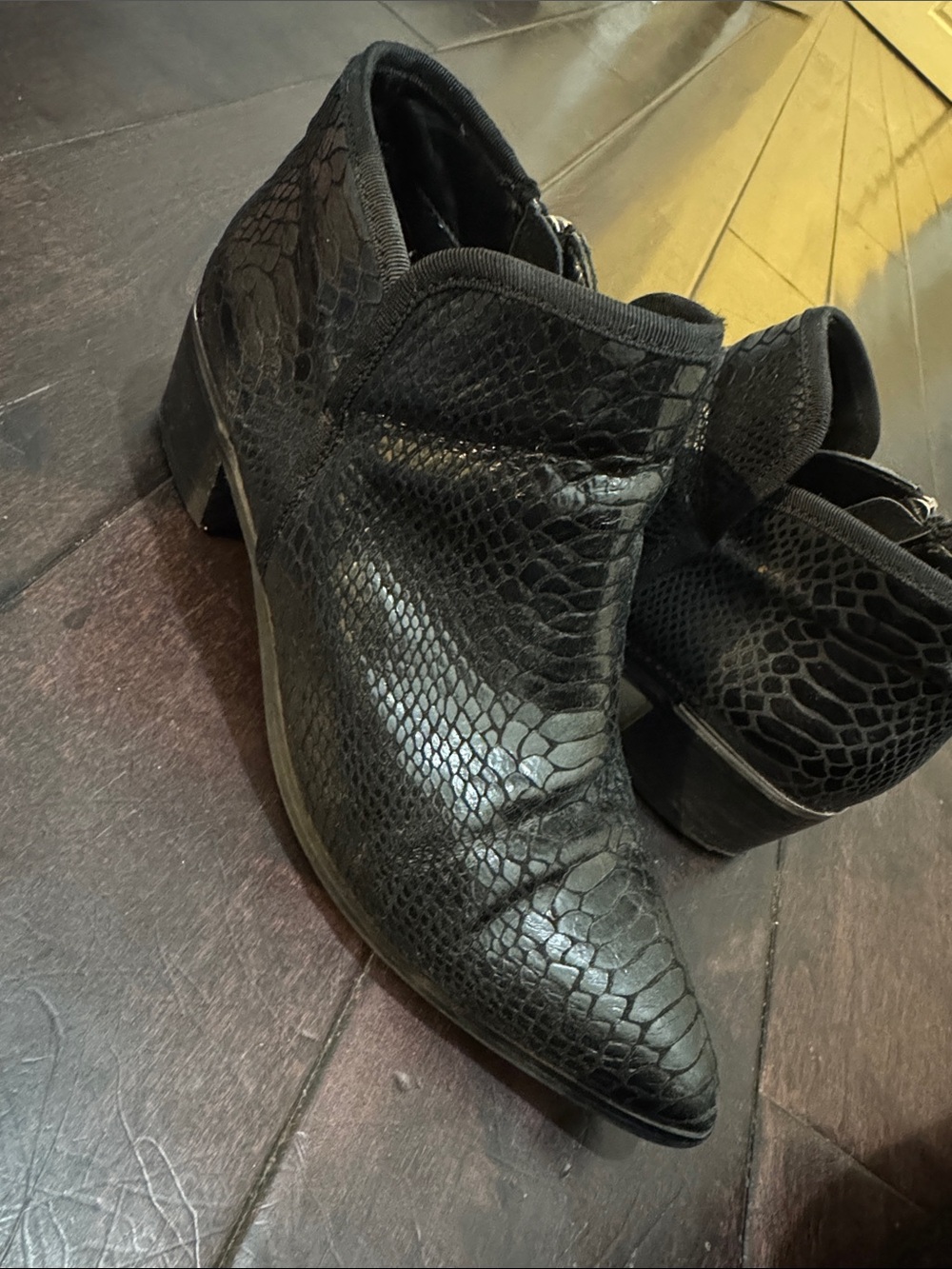 Treasure & Bond Black Snake-Embossed Pointed Ankle Booties